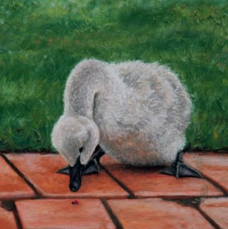 Eat Bug? (Triptych 3)