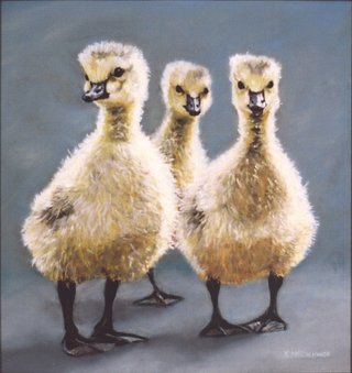 We 3 Little Geese