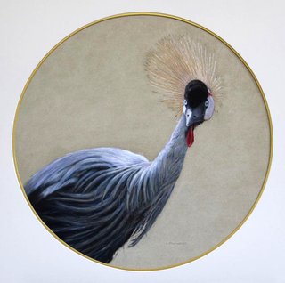 African Crane