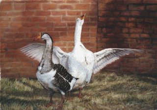 Greeting the Morning Light