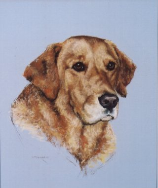 Casey