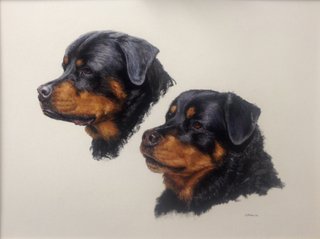 Harry & Lucy