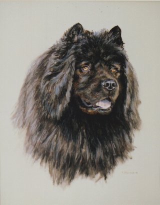 Bekki