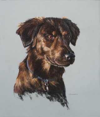 Bruin
