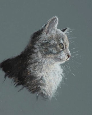 Kittertins
