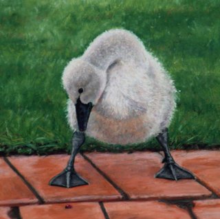 Eat Bug? (Triptych 2)